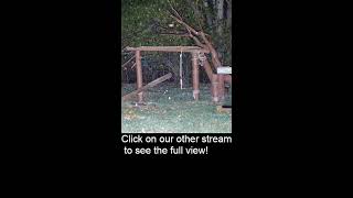 Opossum amp Racoon Cam [upl. by Marylee541]