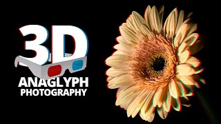 Anaglyph 3D Photography  How to create real stereoscopic 3D Macro Photos [upl. by Yarb139]