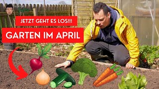 Gartenarbeiten April  Hochbeet Aussaat Unkraut Kompost [upl. by Yecies]