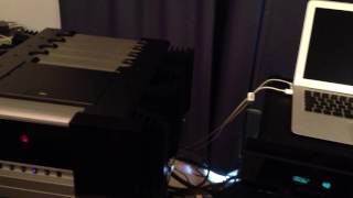 Gryphon Audio Listening Session Pandora  Antileon signature  Marantz  Focal [upl. by Assili]