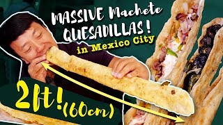 MASSIVE MACHETE QUESADILLAS amp BEST Fried Tacos Mexico City Street Food Tour [upl. by Gabel416]