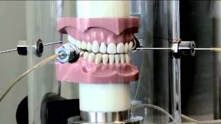 Dental Chewing Machine [upl. by Releyks282]