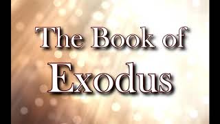 The Book of Exodus NIV Dramatized Audio Bible [upl. by Arutnev]