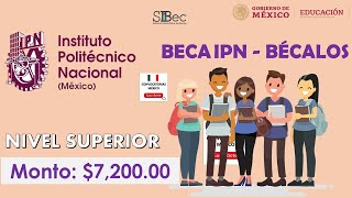 BECA IPNBÉCALOS 2022  Convocatoria  Requisitos Documentación REGISTRO  Becas México [upl. by Sletten845]