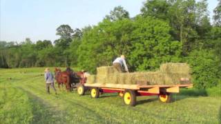 Haying with Draft Horses at Full and By Farm [upl. by Anibas463]