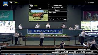 2022 Magic Millions Gold Coast Yearling Sale  Day 2 [upl. by Scevour]