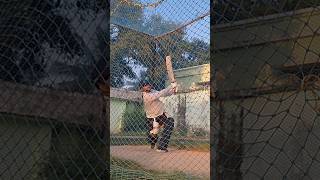 Smashing Bowlers at NETS❤️‍🔥 Agressive Batting  Nets cricket batting shorts [upl. by Guerra159]