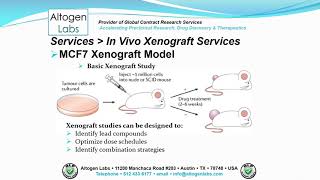 Altogen Labs MCF7 Xenograft Service Breast Cancer [upl. by Freya693]