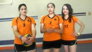 Voleibol ¿Cómo se juega el voleibol [upl. by Iover916]