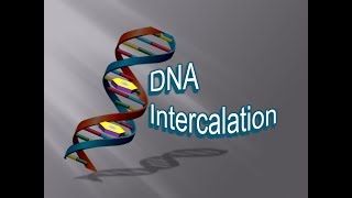 DNA intercalation  Explained  Simple amp Easy  Academics  University  Research [upl. by Oberon939]