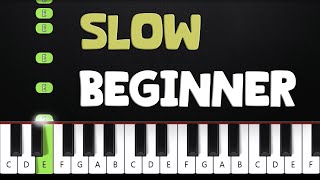 Rush E  SLOW BEGINNER Piano Tutorial [upl. by Nothgiel922]