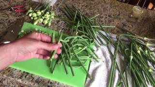 How to Prepare Garlic Scapes for Cooking  Love Your Land [upl. by Lobel792]