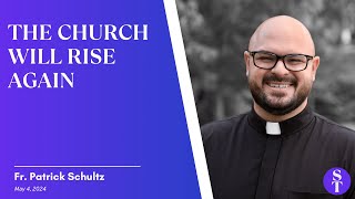 What Can We Do As A Persecuted Church  Fr Patrick Schultz [upl. by Vilhelmina]