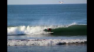 Surf in River Mouth Palo seco COSTA RICA 2019 [upl. by Atiuqaj]