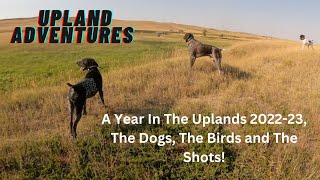 Pheasant hunting sharptail grouse highlights 202223 [upl. by Ahsatin]