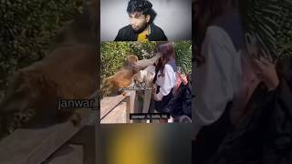 Try Not to laugh challenge 🤣 08 trending funny meme viralvideos [upl. by Lucine]