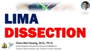 LIMA Dissection [upl. by Abramo]