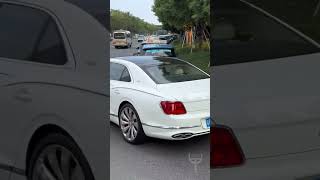 Bentley Flying Spur [upl. by Oderfla]