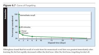 7A11 Ebbinghaus Curve of Forgetting [upl. by Adorne194]