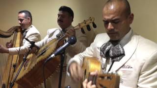 Mariachi Los Camperos LIVE  LA FONDA  Los ArrierosLas Olas featuring Tony Zuniga [upl. by Ralina741]