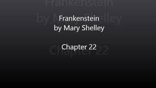 Frankenstein by Mary Shelley  Chapter 22 Audiobook [upl. by Ataynek]