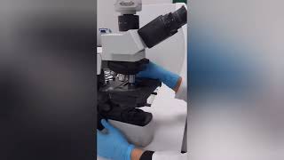 Urinanalysis Part 2 Learn urine microscopy in 5 minuteslaboratory mltclasses [upl. by Matthiew]