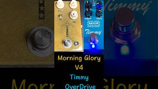 Morning Glory V4とTimmy OverDriveを比較、違いをレビュー！！ [upl. by Yoral]