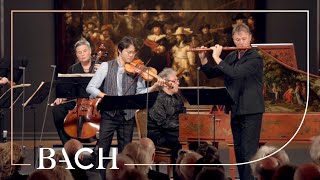 Bach  Brandenburg Concerto no 5 in D major BWV 1050  Sato  Netherlands Bach Society [upl. by Dasya524]