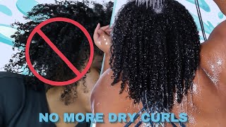 NO MORE DRY NATURAL HAIR These Ultimate Moisturizing Conditioners Change Type 4 Natural Hair [upl. by Ivan]