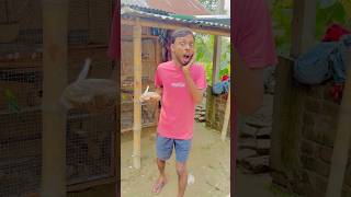 কোন বিপদ থেকে বাঁচালাম 😭🙏 কী ছিল পাখির খাবারে 😱 vlog minivlog comedy funny fun birds [upl. by Lieberman]