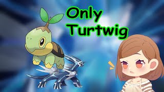 Turtwig Run Champion Pokemon Brilliant Diamond [upl. by Modla]