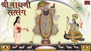 Shrinathji Satsang  Top 20 Songs  Beautiful Collection of Most Popular Shrinathji Songs [upl. by Chader396]