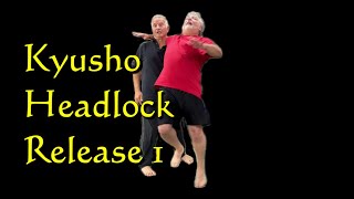 Kyusho Headlock Release 1 [upl. by Hennahane]