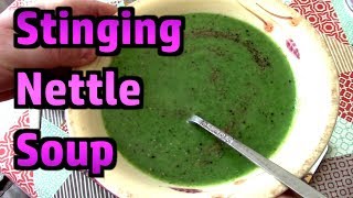 Stinging Nettle Soup  Delicious  Foraging Tips And Recipe [upl. by Earissed306]