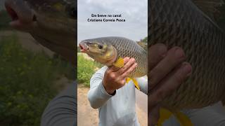 PIAPARÃO MONSTRA  Em breve no canal CRISTIANO CORREIA PESCA [upl. by Nima]