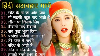 Hindi Gana🌹Sadabahar Song 💖हिंदी गाने 💔Purane Gane Mp3 💕Filmi Gaane अल्का याग्निक कुमार सानू गीत [upl. by Fanning]