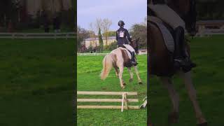 Dressage cce jeumont club1 131024 67 equitation horseriding cce dressagehorse equestrian [upl. by Aniteb328]