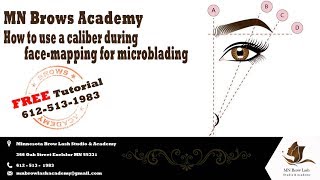 How to use a caliber during facemapping for microblading  FREE Tutorial [upl. by Aseefan364]