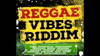 REGGAE VIBES RIDDIM Warriors Musick Production 2015 Mix Slyck [upl. by Bronk]