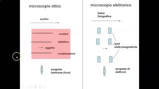 Il microscopio Parte 1 [upl. by Llyrad806]