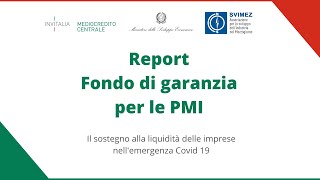 Report Fondo di garanzia per le PMI [upl. by Auroora]