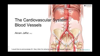 ANAT101026Blood vessels [upl. by Nnyllatsyrc]