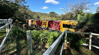 Wednesday Live  Toowoomba  Australia 💐🦋🤗 [upl. by Eisserc]