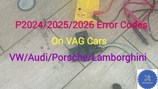 P2024P2025P2026 OBD2 Codes diagnosis and repair VAG cars VW Audi Porsche Lamborghini EVAP [upl. by Zoe86]