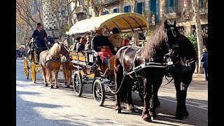 Cavalcada dels Tres Tombs de Sant Antoni  Barcelona 1912019 [upl. by Rehpinnej291]