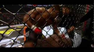 Alistair Overeem Highlights [upl. by Bach]