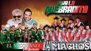 Quebradita Mix De Los 90 Exitos  Quebraditas Mix  El Mexicano Banda Machosy Mas [upl. by Anson]