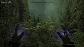 I HATE THOSE GIANT BUGS  Skyrim Part 20 [upl. by Minetta980]