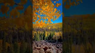 🍁🍂Autum Breeze 🌬️ foryou fall autumn bucketlist [upl. by Cookie]