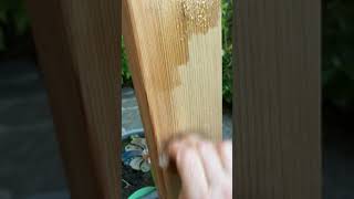 Applying Odies Oil to Cedar  Natural nontoxic wood finish [upl. by Luanne]